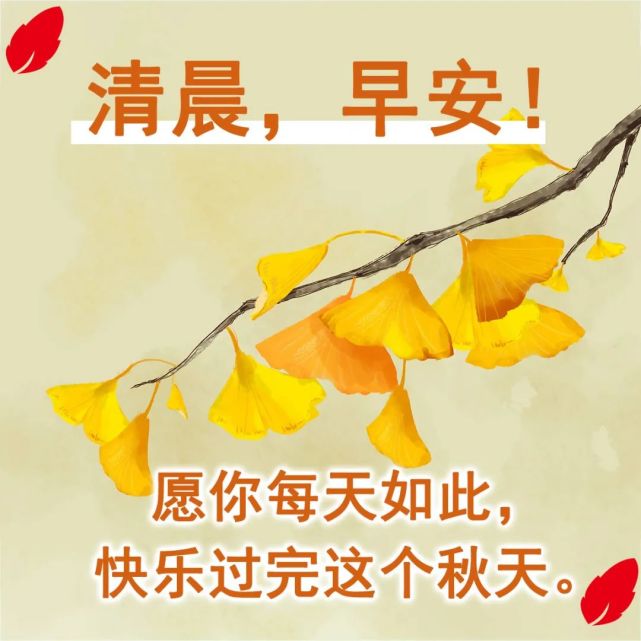 创意好看的早安图片带字祝福语,漂亮的早上好表情图片