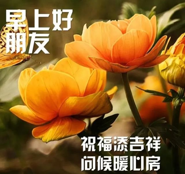 最漂亮温馨的早安祝福图片精选 最新版早安问候祝福语录图片带字
