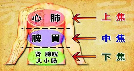 一味中药,通泻三焦!上清心肺之火,中泻胃火,下泻肾火