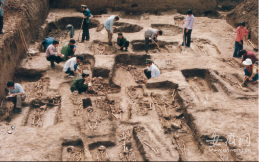 中国科大联合主持发掘的河南舞阳贾湖遗址入选"百年百大考古发现"