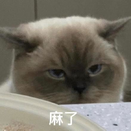 表情包动图妈我没钱啦