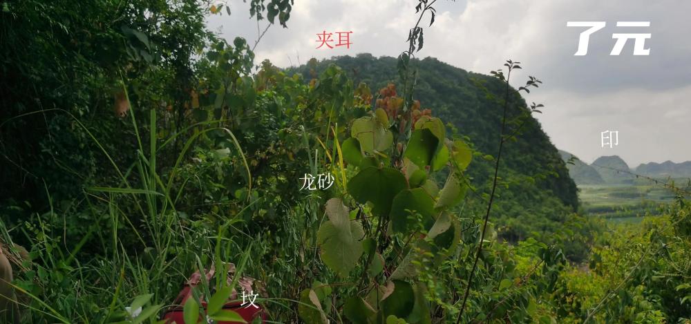 广西喀斯特地貌石山特别案例,上格宝地"提督卸笔"