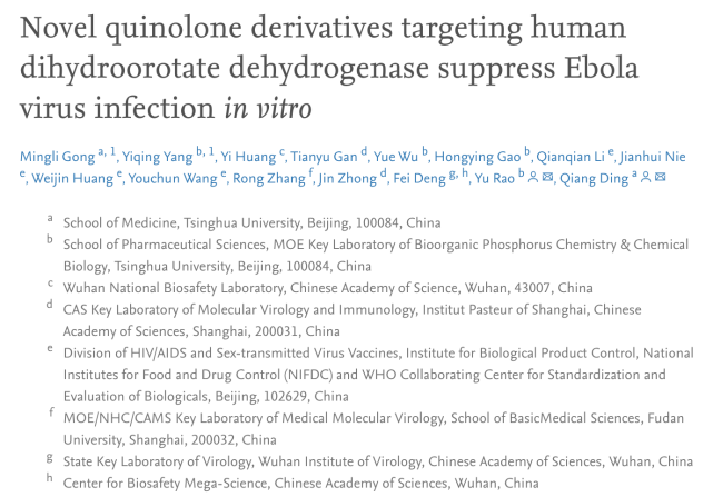 (novel quinolone derivatives targeting human dihydroorotate