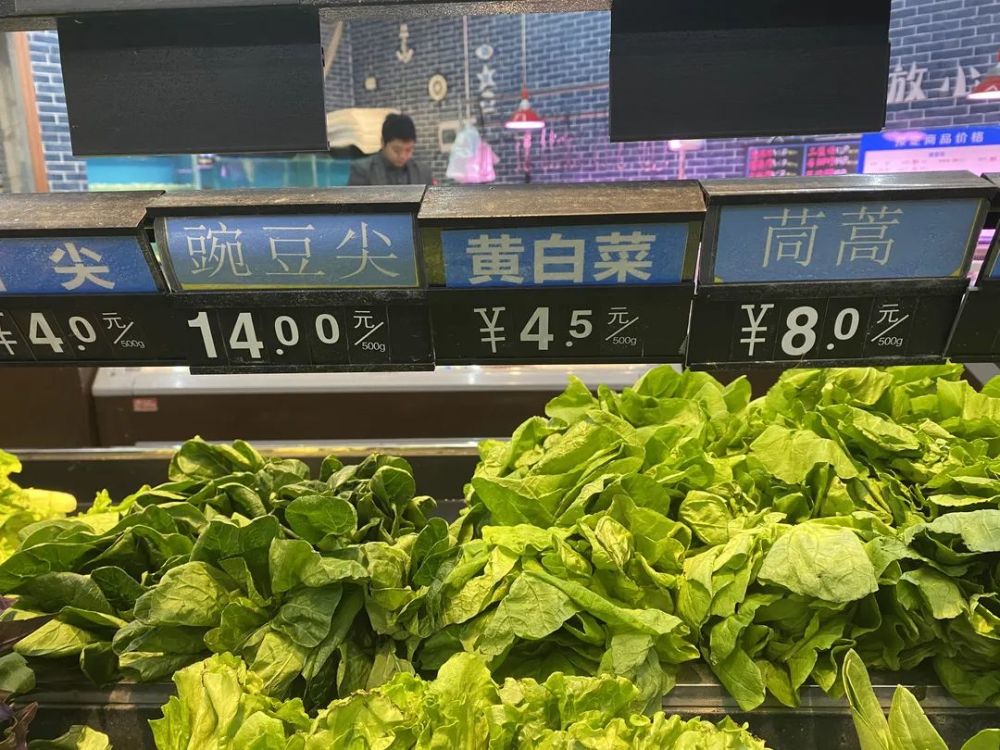 成都菠菜15,豌豆尖14,你家附近的菜价多少?