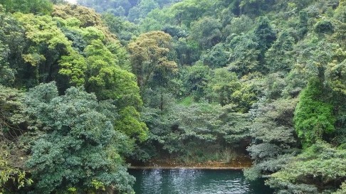 肇庆鼎湖山自然保护区新物种新记录不断涌现