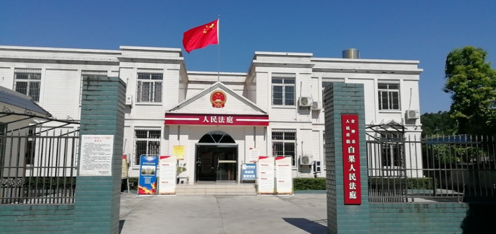 最美基层法庭|白果法庭:竹间学思践悟 笃行司法为民