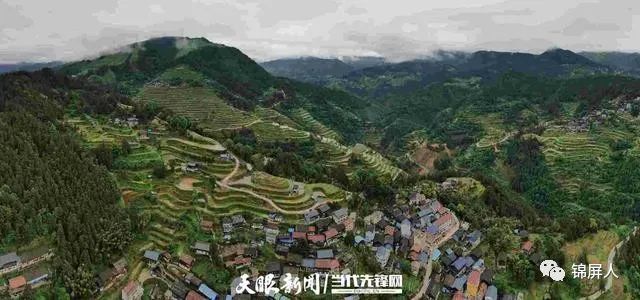 锦屏务翁村第一书记钟应:与村民一块过,一块干|钟应|固本乡|锦屏县|务