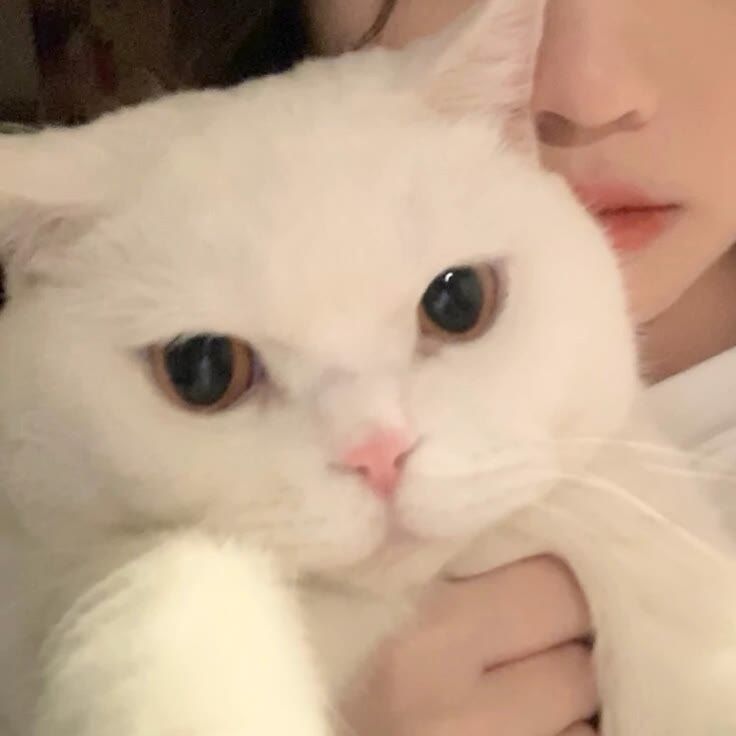 情头一个人暗恋另一个人另一个人会感觉的到吗