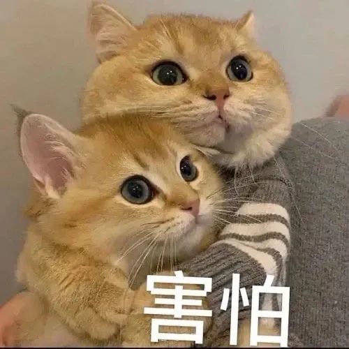 【抖音表情包 | 10.26】
