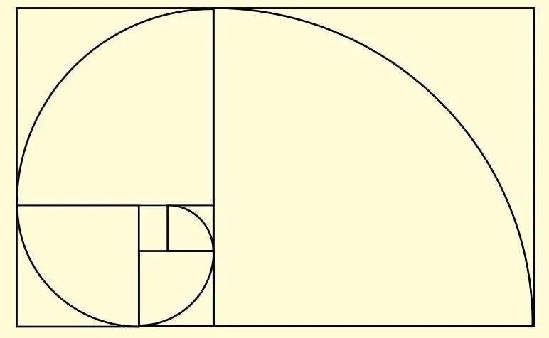 黄金矩形可以转化为黄金螺旋.