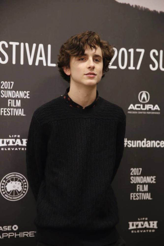 2017年22岁的提莫西·查拉梅(timothee chalamet)