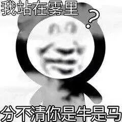 沙雕必备熊猫头