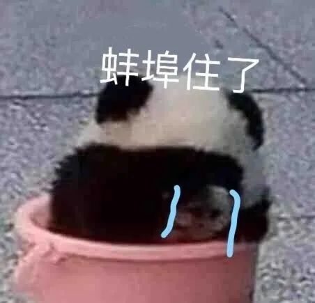 可爱表情包|俺不理解