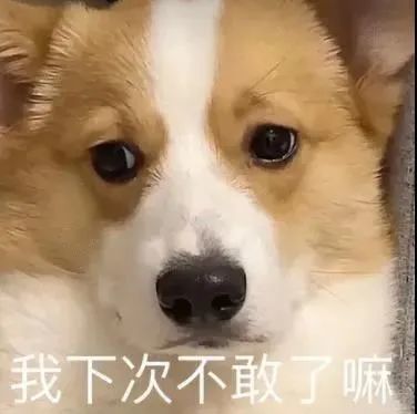 我可爱吗?