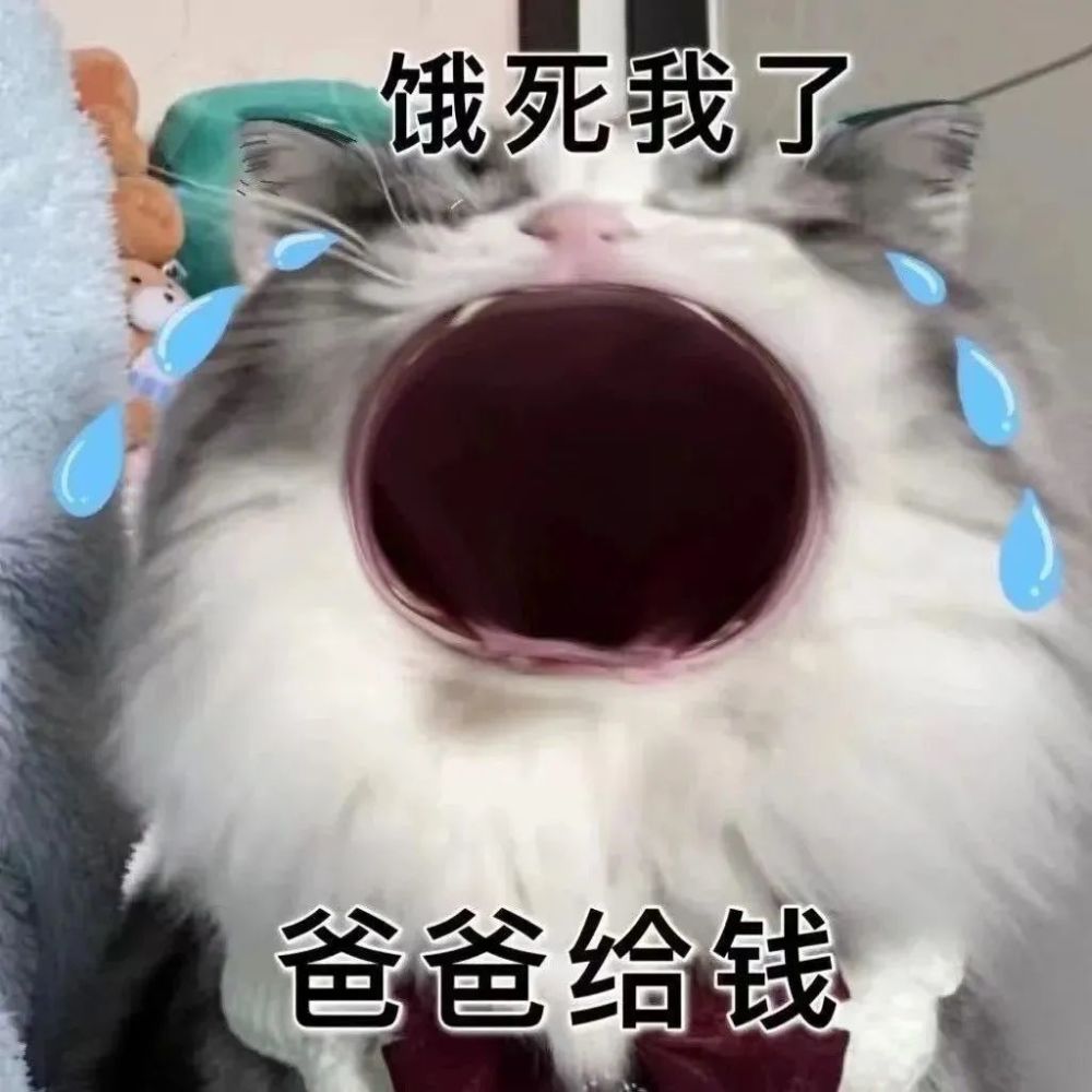 表情包丨妈宝女妈宝男表情包
