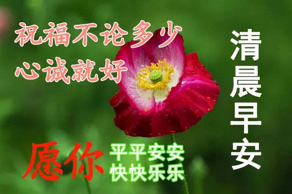 10月27日周三最新早上好问候祝福动态表情图片早安问候语动态图片表情
