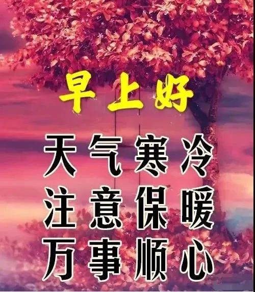 8张创意好看的老同学早上好祝福图片 免打字聊天的老