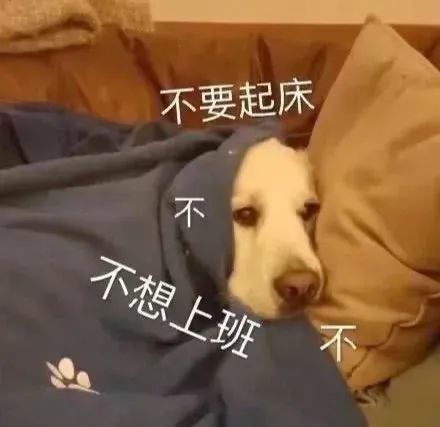 抖音热门表情包|等我 转只弯就到