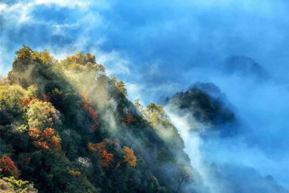 洛阳老君山景区红叶迎来游客观赏高峰期