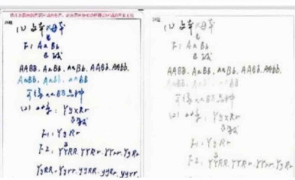 试卷上的字vs电脑阅卷中的字差距真的很明显学生最好提前知晓