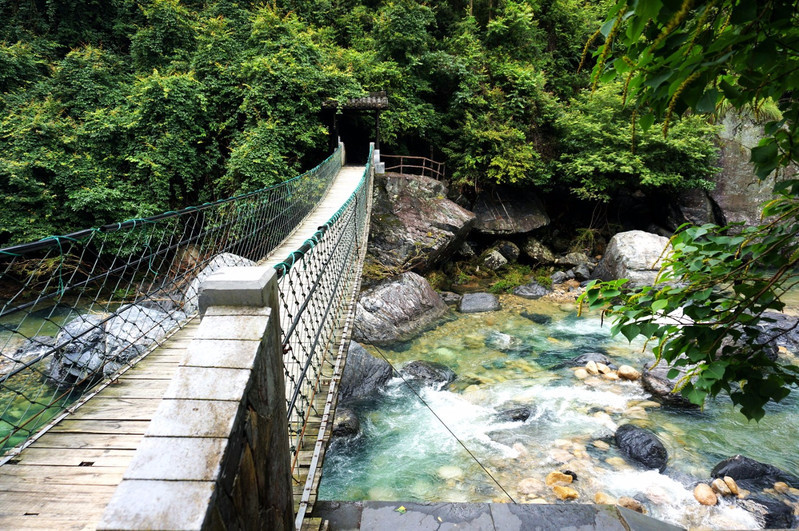 池州一冷门自然景区植物茂密富含生机四季皆美知道的人却少