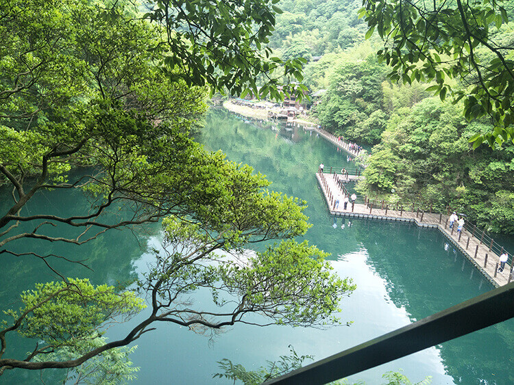 池州一冷门自然景区植物茂密富含生机四季皆美知道的人却少