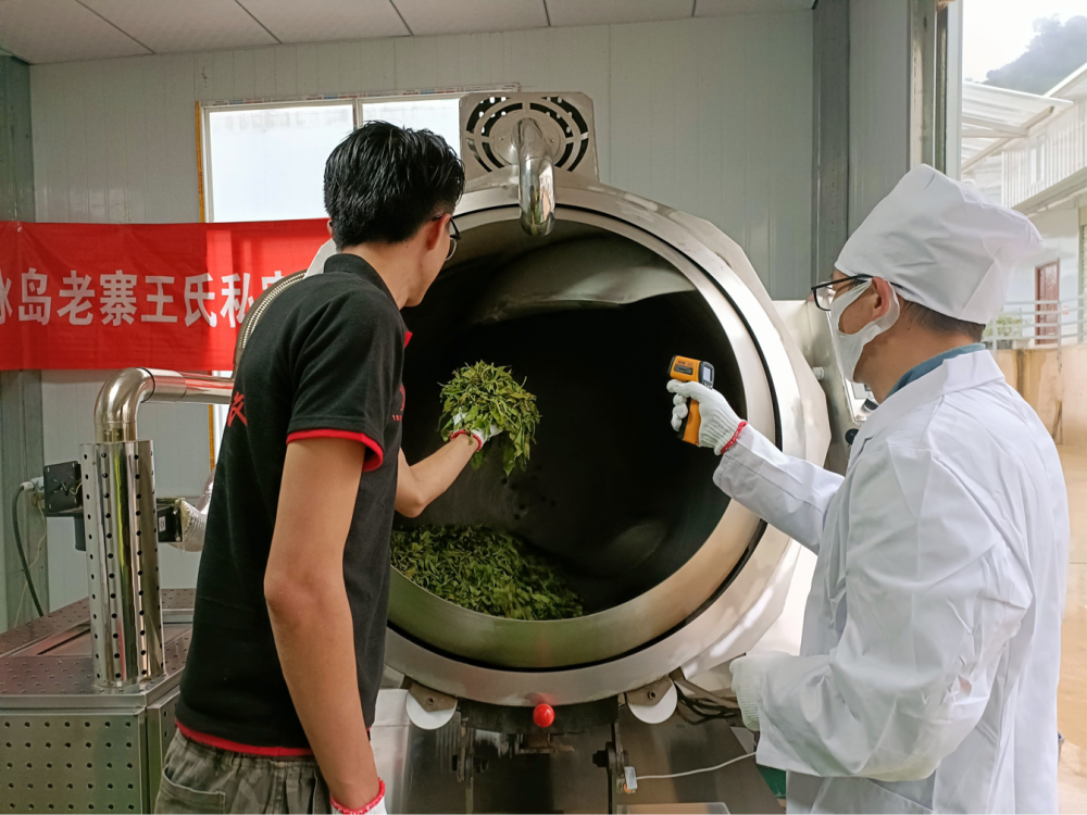 科技赋能云茶产业冰岛老寨王氏茶业联合濮艺杀青机开机仪式举行