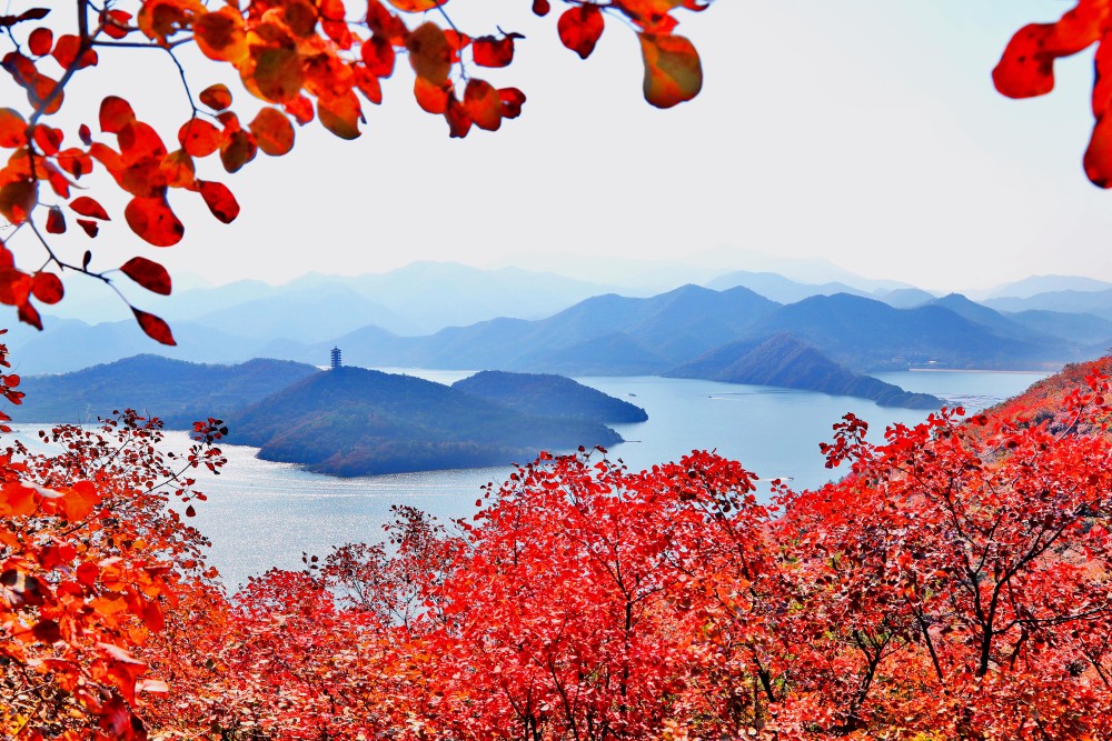 北京金海湖红叶映碧波风景美如画