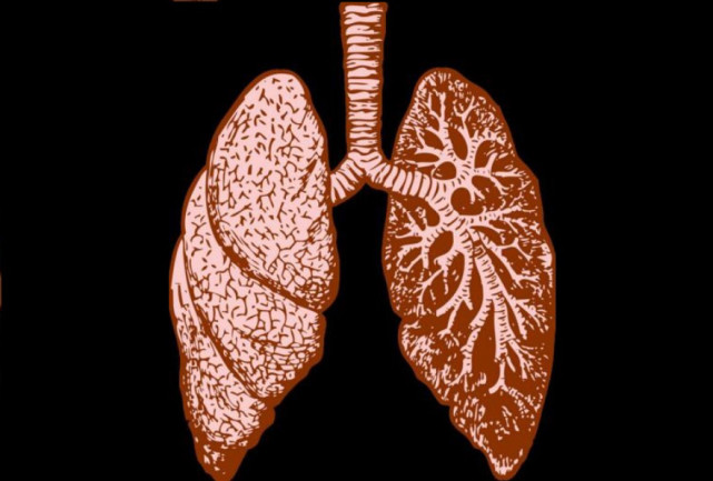 百草枯会导致人肺部纤维化
