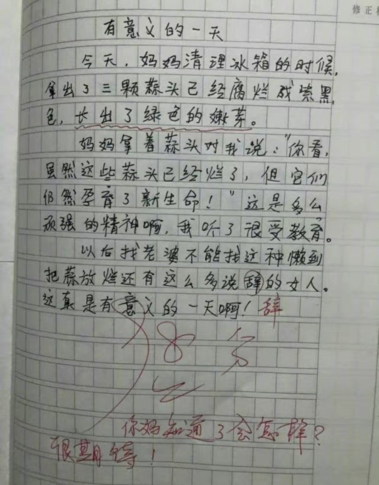 小学生作文20年后的我走红老师看完无语以后你站着上课