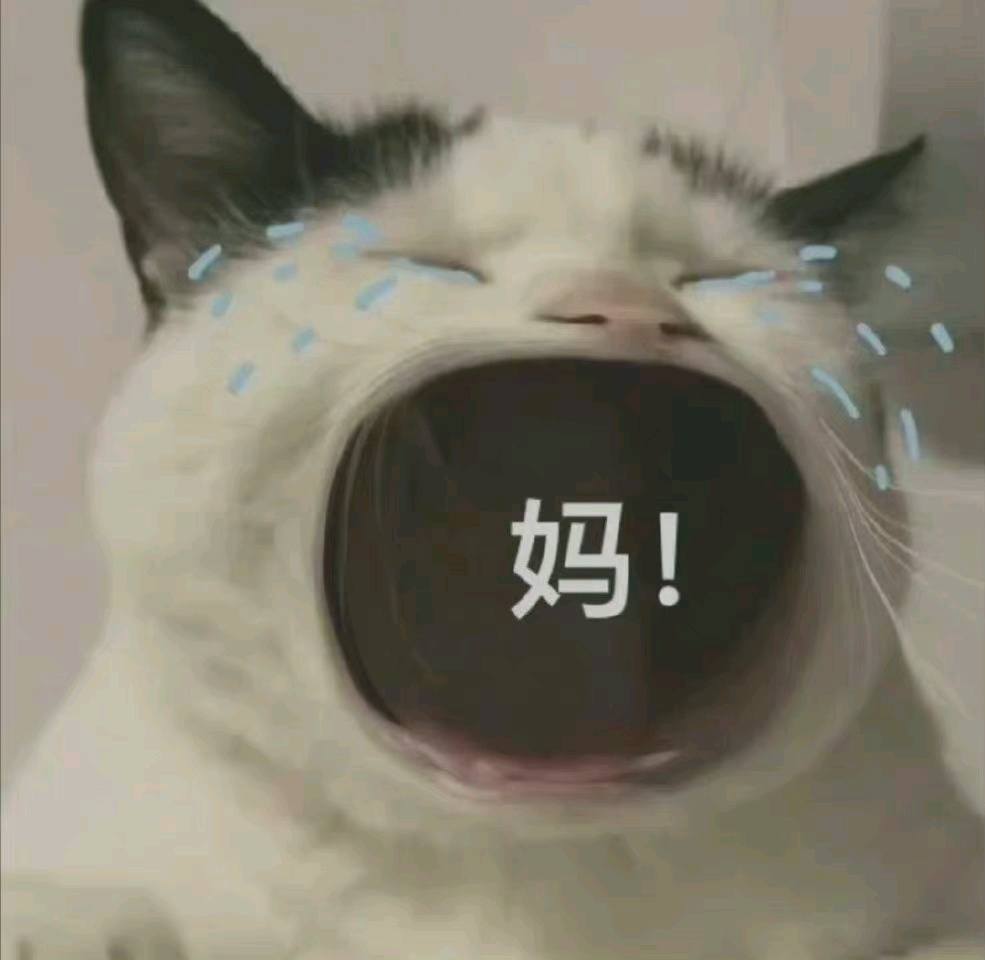 没生活费用的表情包