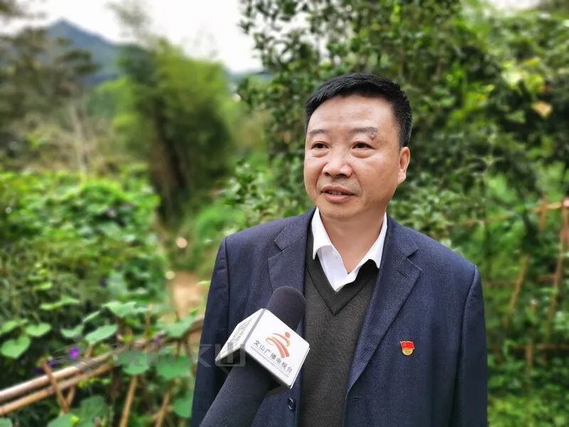 西畴县党史研究专家 苏文林"如今林开武故居后山的