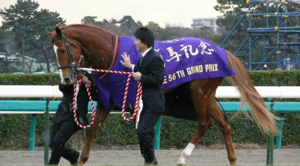 世界最强马中妲己日本一本白马写真力压明星夺得销售榜第三名看完后我