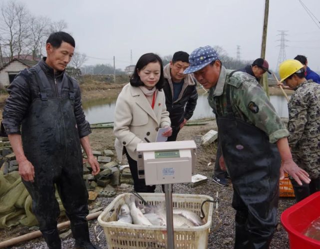 朱争艳青阳县朱备镇陈氏乐田家庭农场负责人吕淑芳东至县祁鸣春茶叶