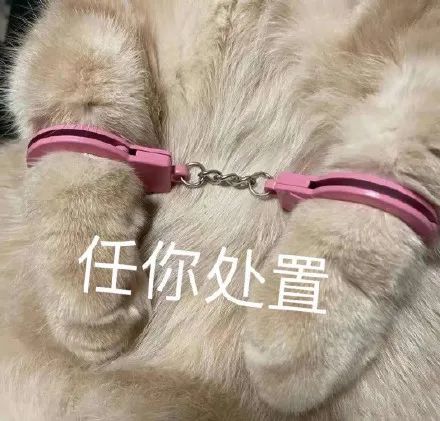 沙雕表情包滚筒洗衣机式哭泣