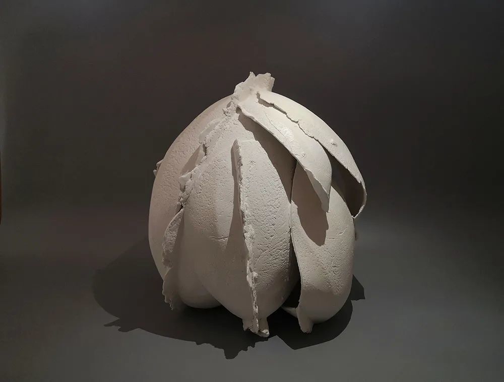 集中而又规模地将陶艺作品进行高标准检阅,集成种类,风格多样,不同