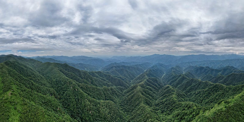 综研院秦岭生态环境保护报告双碳目标下的生态环境治理需要建立长效