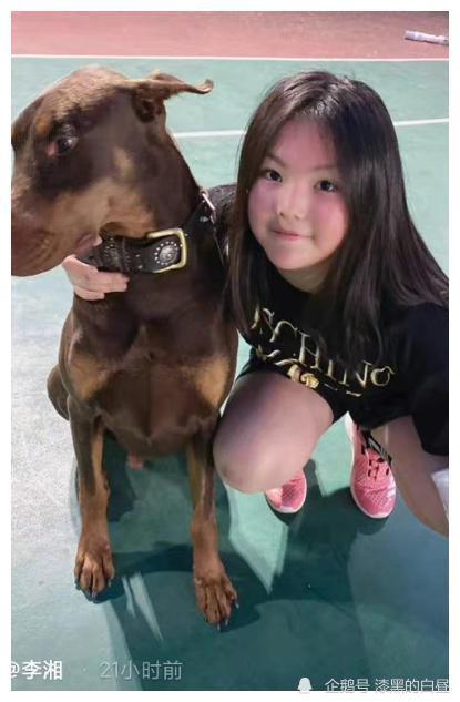 12岁王诗龄颜值逆袭晒自拍清纯可爱大眼睛尖下巴太好看了