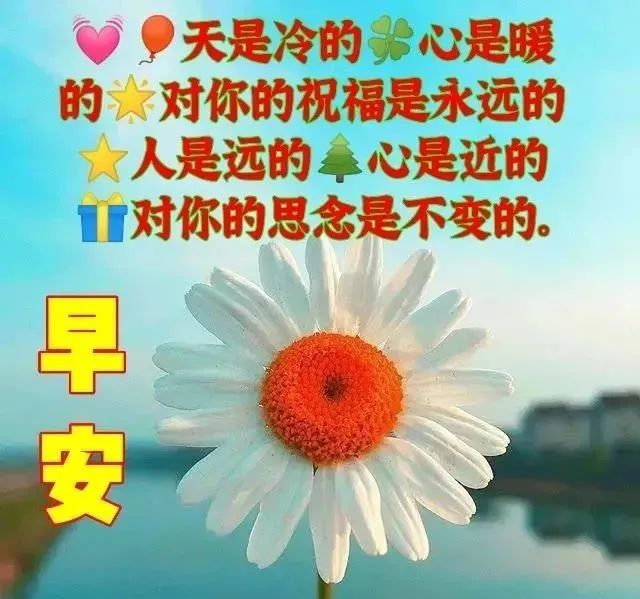 朋友圈最新正能量短信问候祝福语大全,早安问候漂亮图