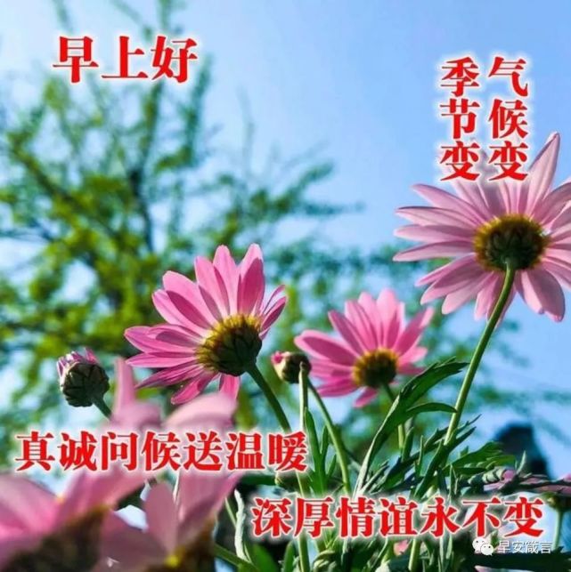 早安最短精句,朋友圈唯美正能量早上好句子