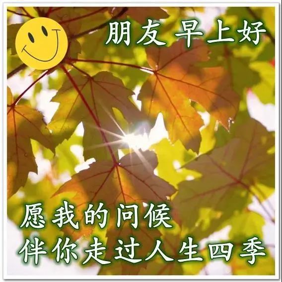 一句早安兄弟姐妹,愿你好运久久!