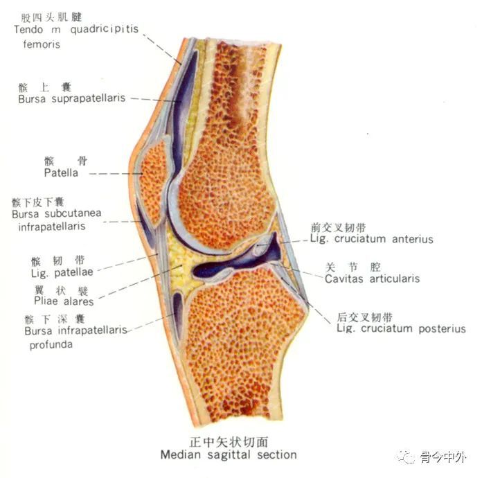 12种关节腔穿刺方法,你都掌握了吗?