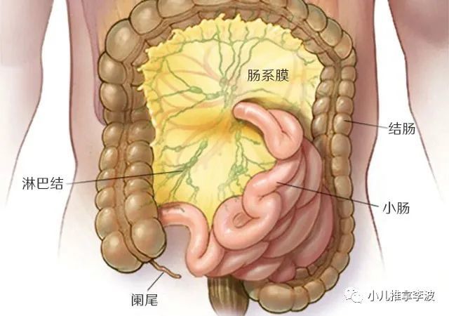 小儿推拿李波:小儿肠系膜淋巴结炎的原因和症状,如何