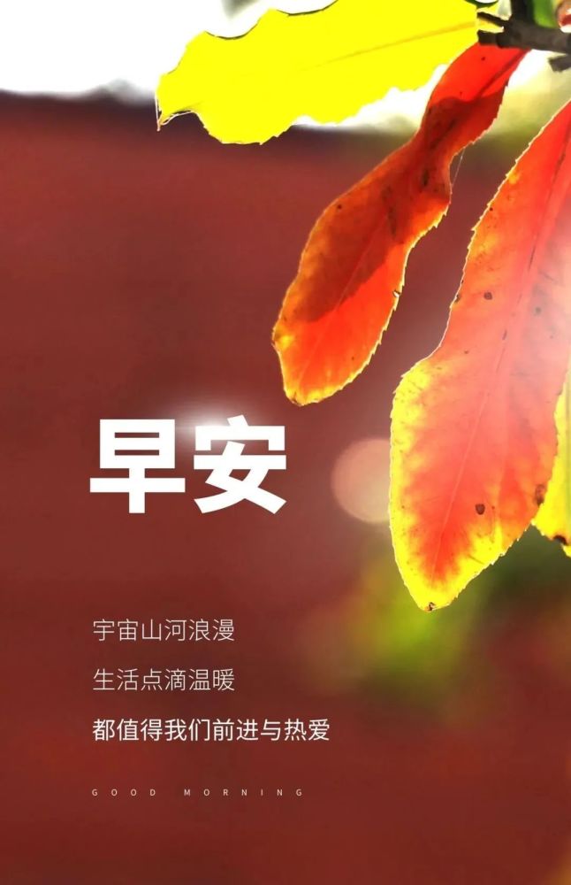 早安心语正能量励志说说激励自己奋斗的句子