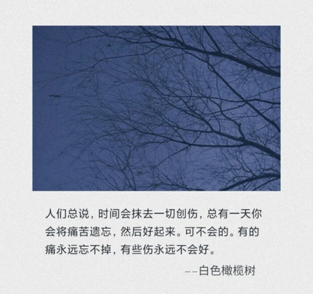 白色橄榄树经典语录