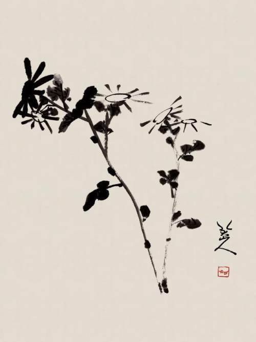 历代大师画菊:菊残犹有傲霜枝!