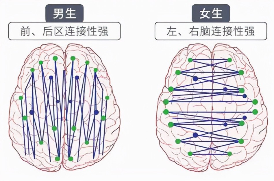 男人女人的思维差异怎么那么大解密男女大脑的20种不同