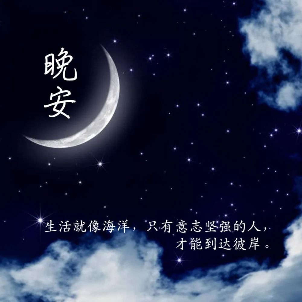 11月4日晚安好梦