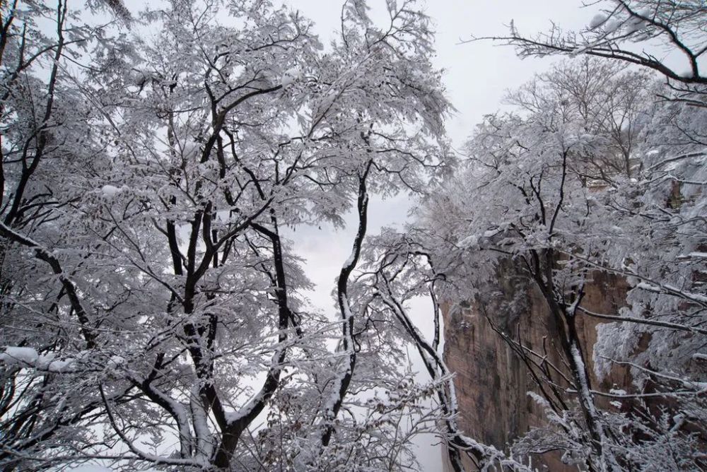 南太行天界山雪景韩修平摄影