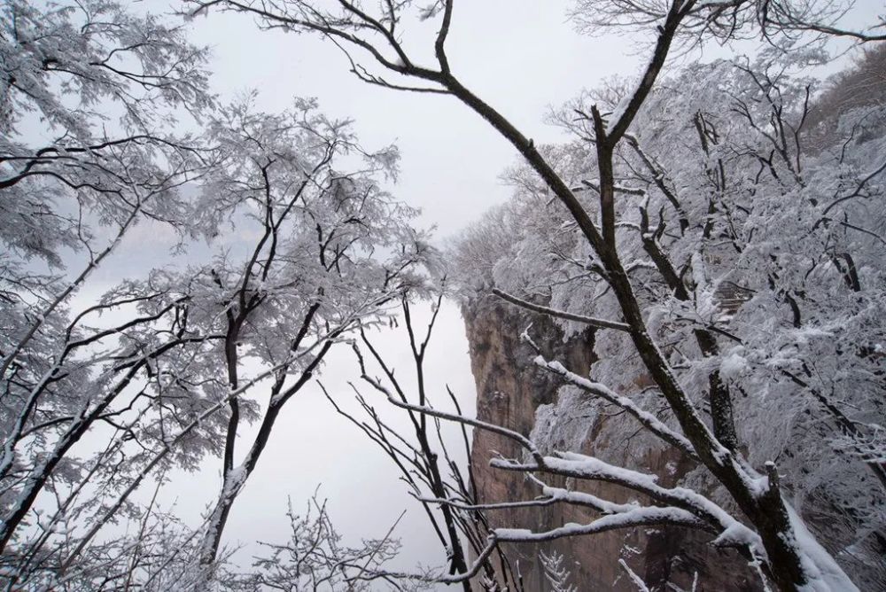 南太行天界山雪景韩修平摄影